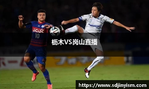U8国际平台